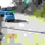 alex1