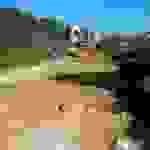 alex2
