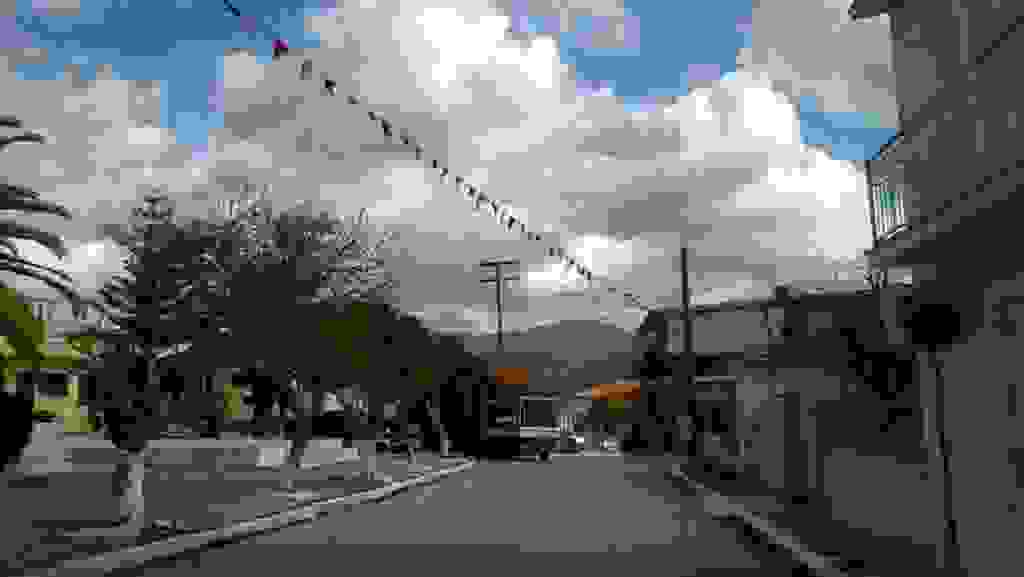 alex6 (2)
