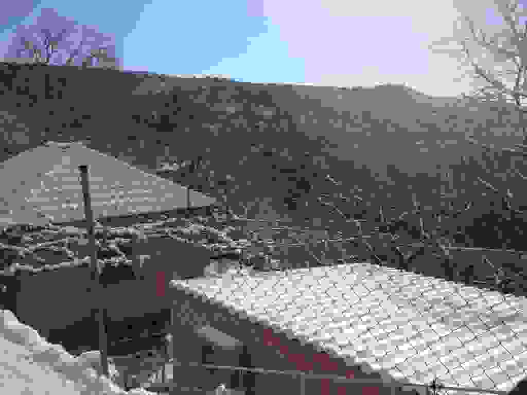 arg