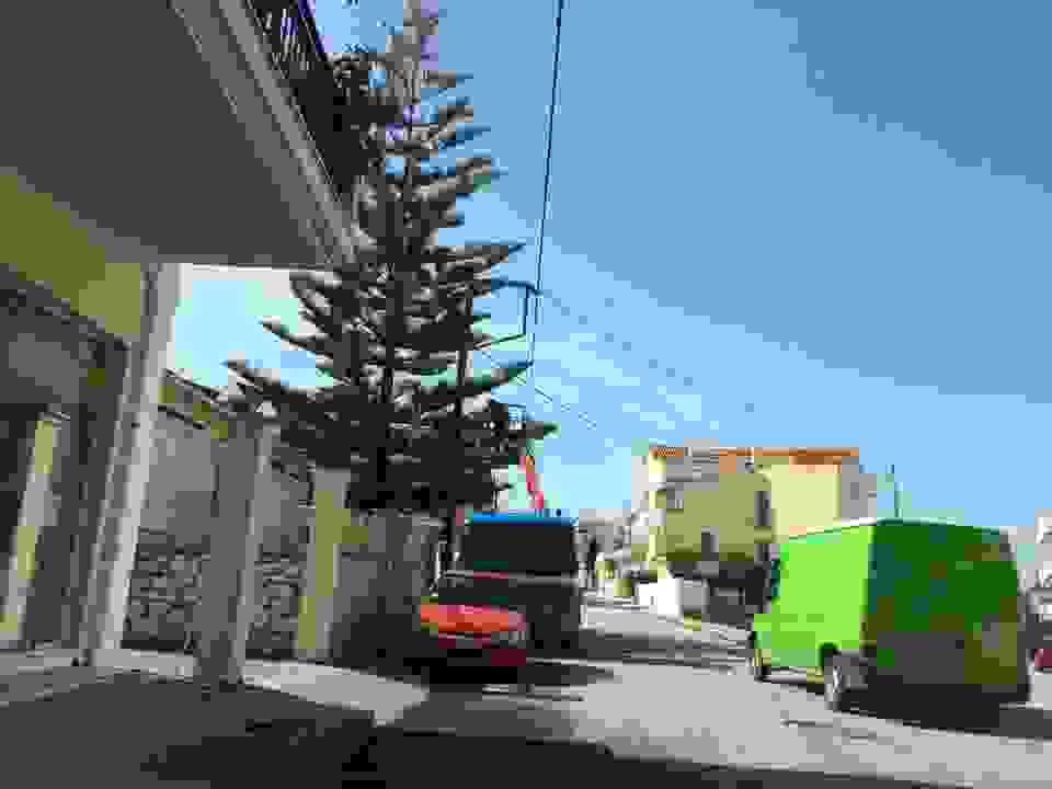 jer7