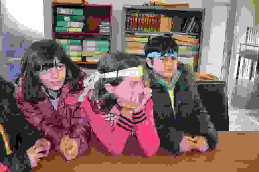 liks1