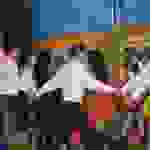 liks7