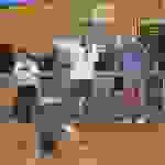 liks8