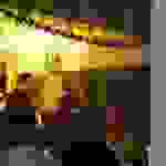 liks9