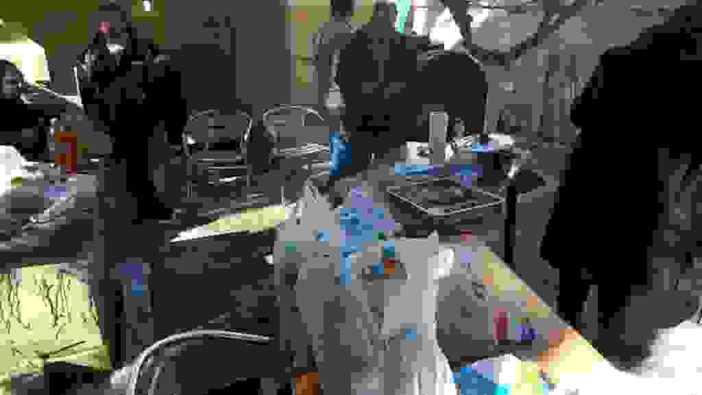 mms_img-1851619117