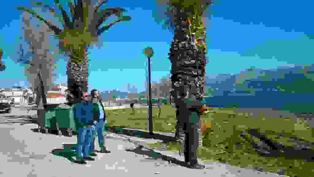mms_img-199824650