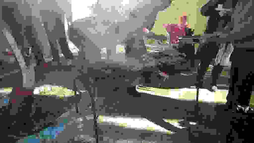 mms_img-30102301