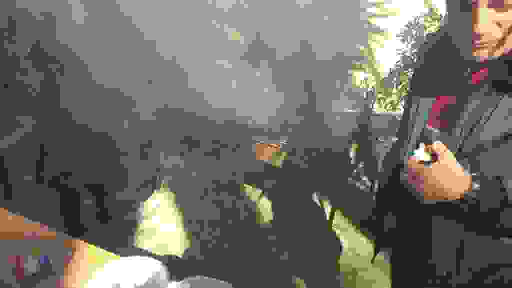 mms_img-96780091