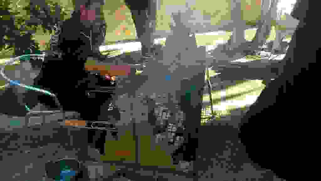 mms_img1126345090