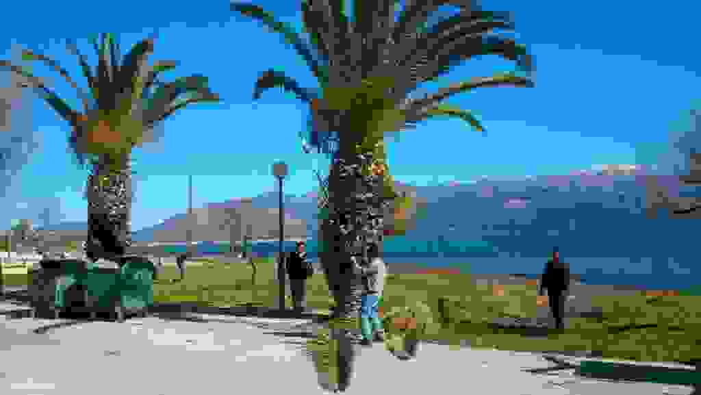 mms_img658812724