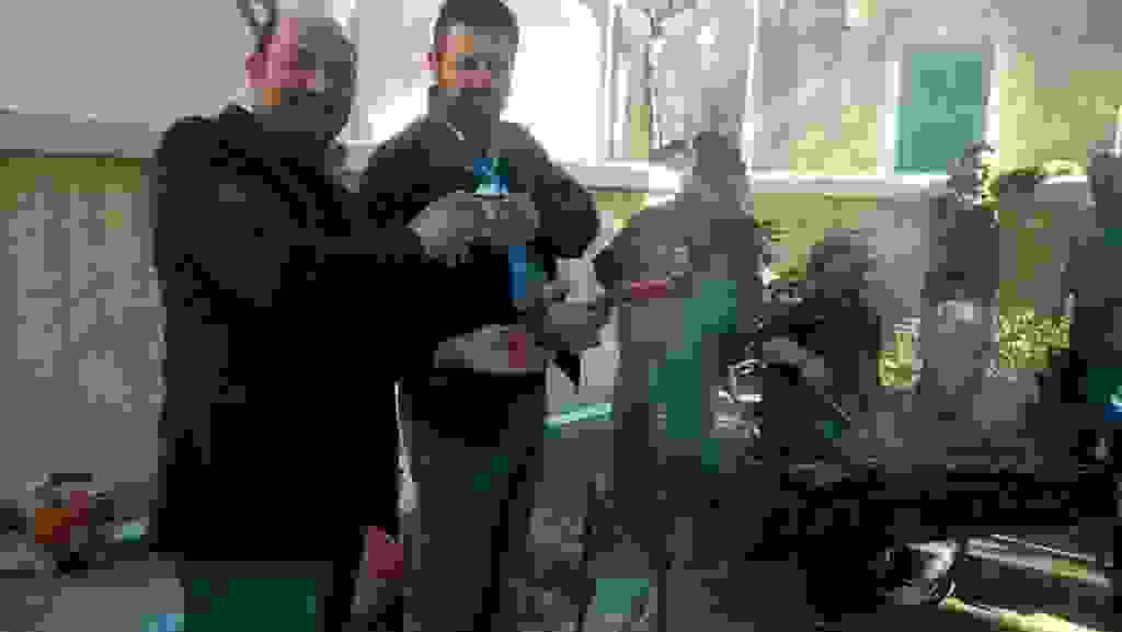 mms_img755254535