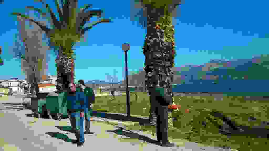 mms_img755254535