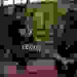 pav10