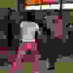 pav11