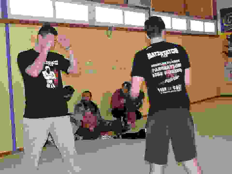 pav12