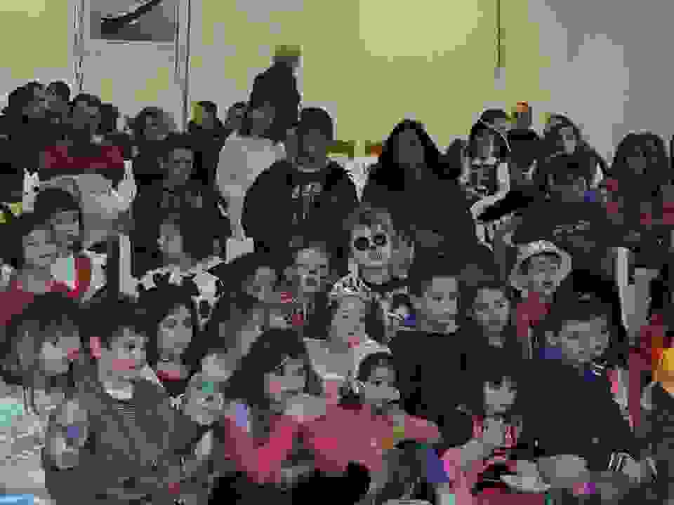pav15