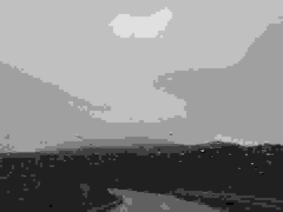 pav16