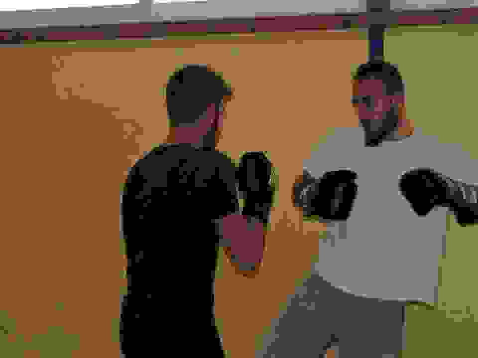 pav17