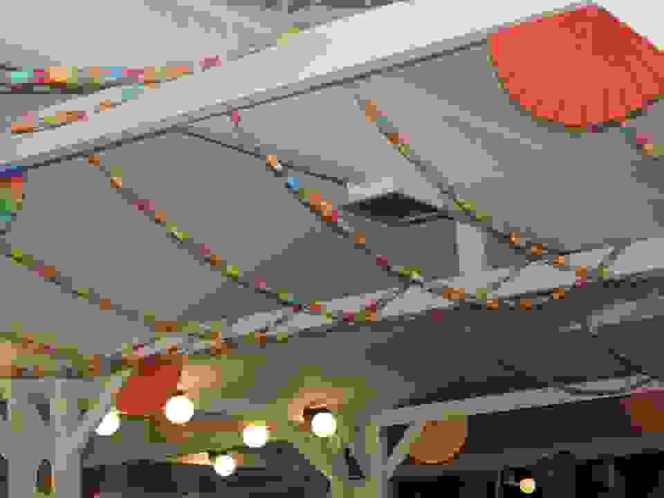 pav19
