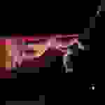 pav19