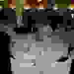 pav20