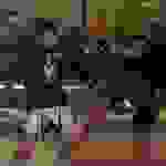 pav20