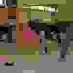 pav2