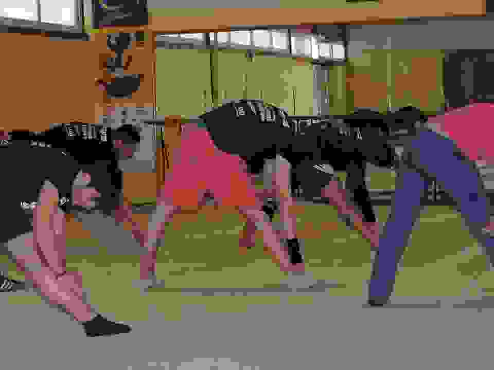 pav2