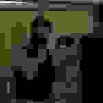 pav21