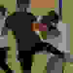 pav24
