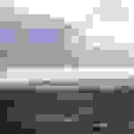 pav