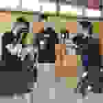 pav29
