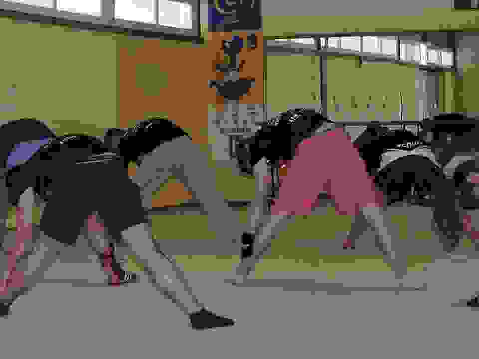 pav3