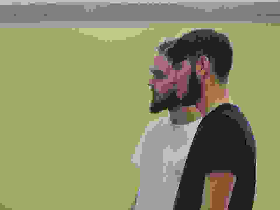 pav31