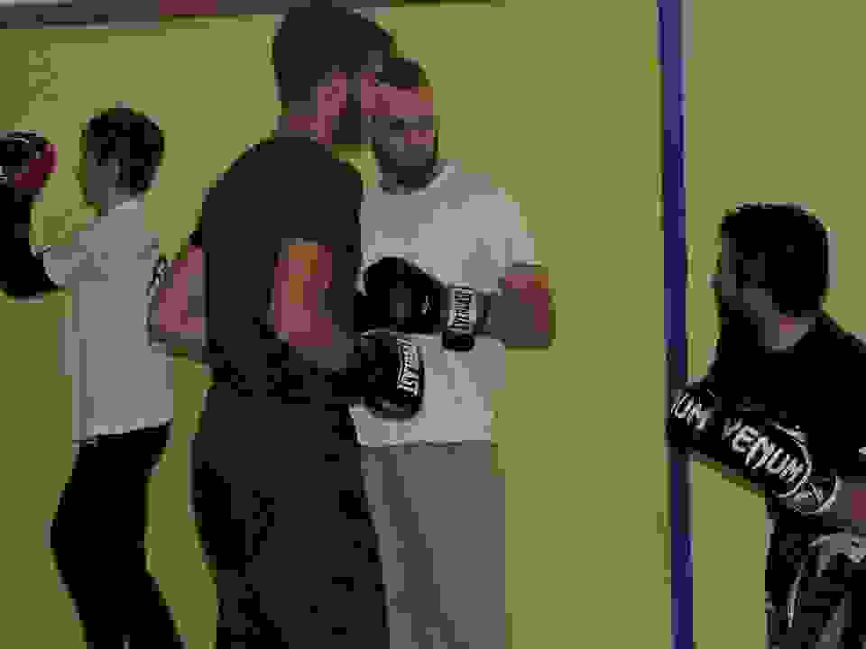 pav36