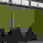 pav38