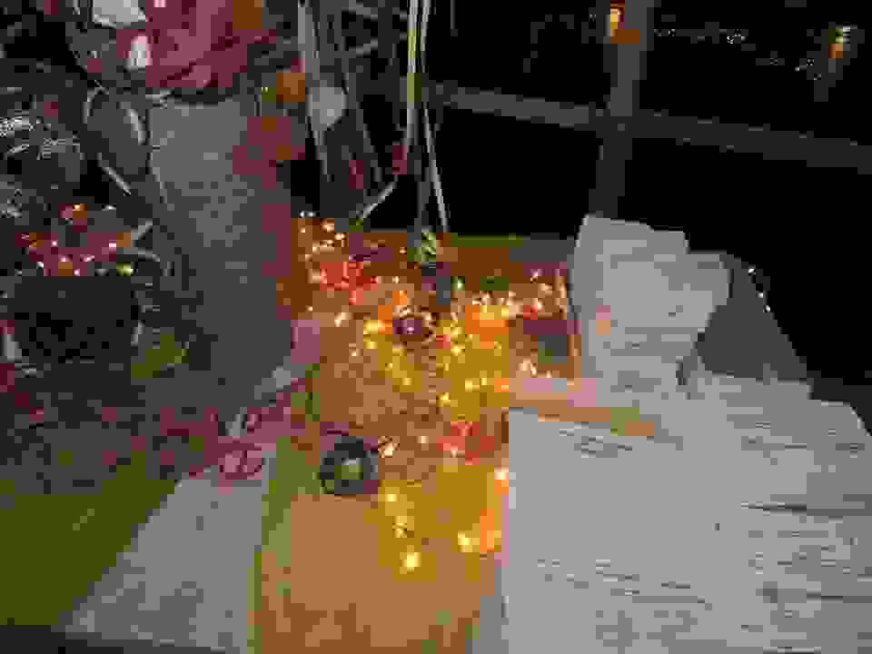 pav4