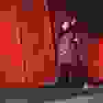 pav4