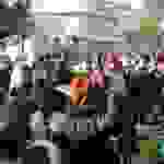 pav4