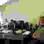 pav4