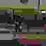 pav4