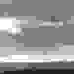 pav4
