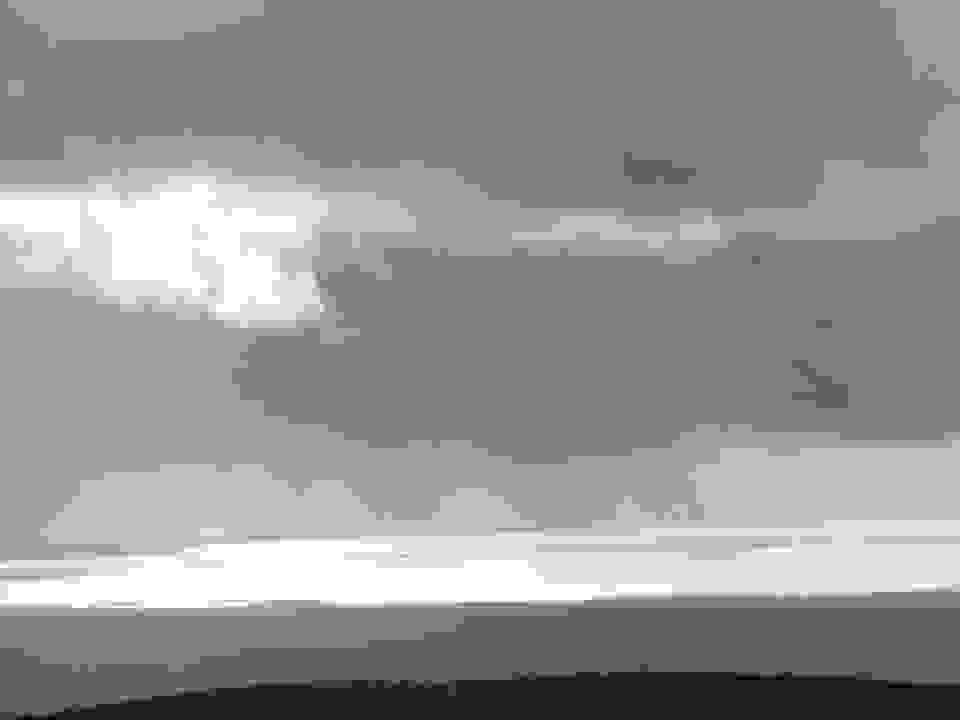 pav4