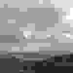 pav5