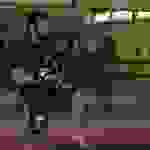 pav5