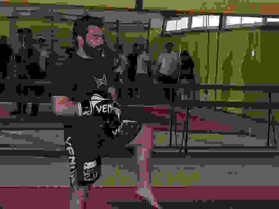 pav5