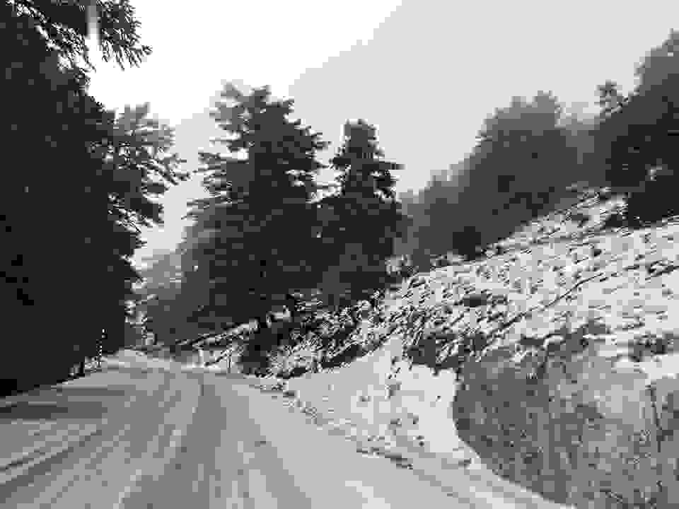 pav6