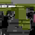 pav7