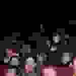 pav8